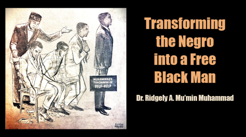 Transforming the Negro  into a Free Black Man