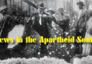Jews in the Apartheid South