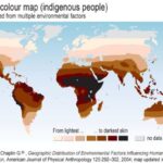 Still Evolving, Human Genes Tell New Story, New York Times